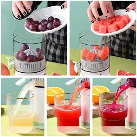 Automatic Fruit Juicer
